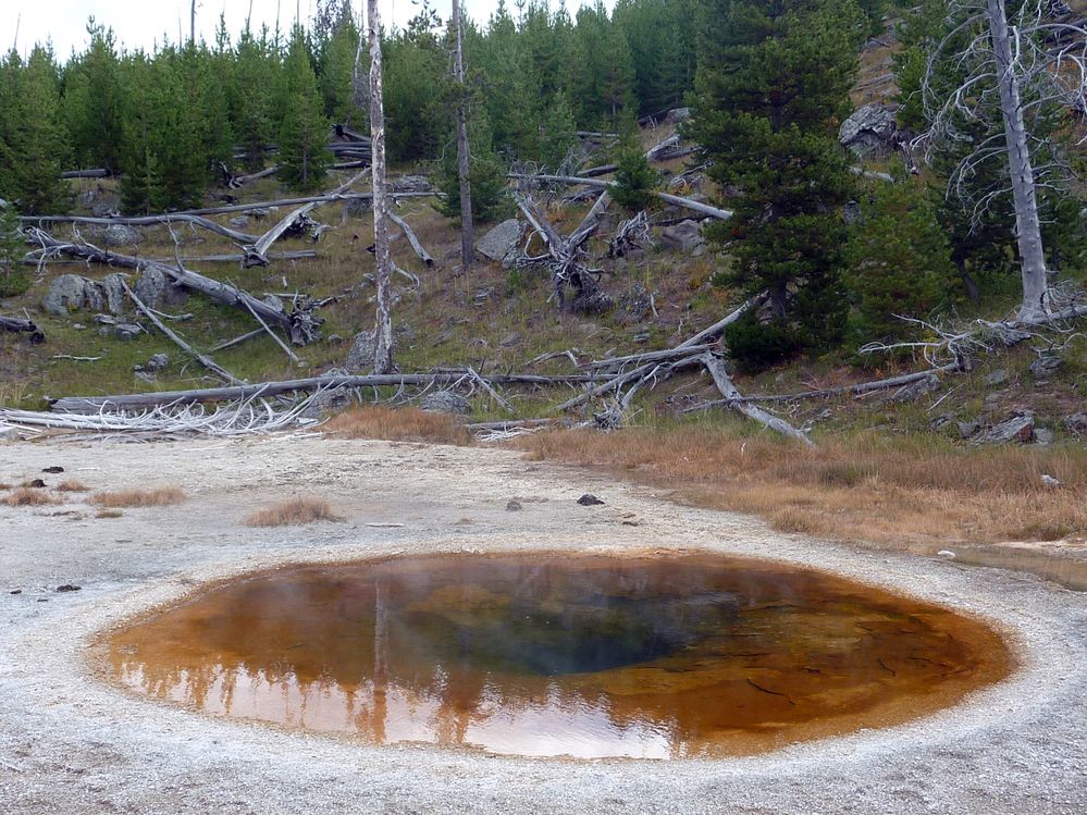 Yellowstone Old faithfull et ses environs (74).JPG